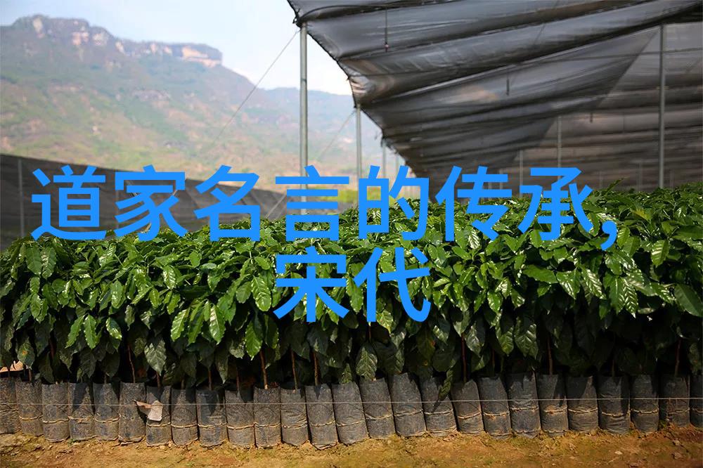 什么是无欲则刚我是如何从贪婪中找到真正的力量的