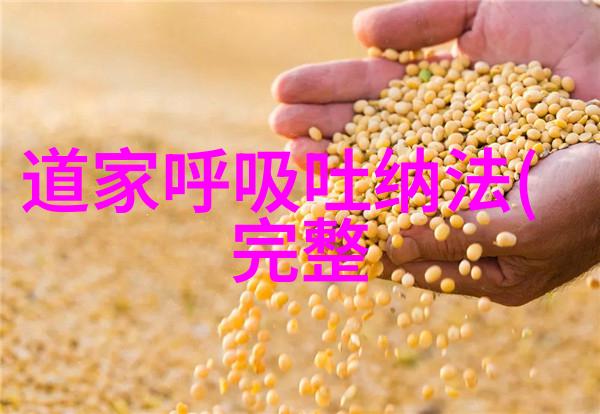 古风句学探究冷门艺术中的惊艳魅力