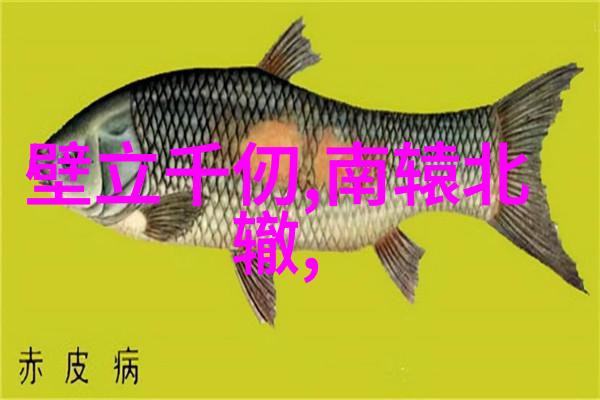 天界秘籍太上老君的炼丹之道