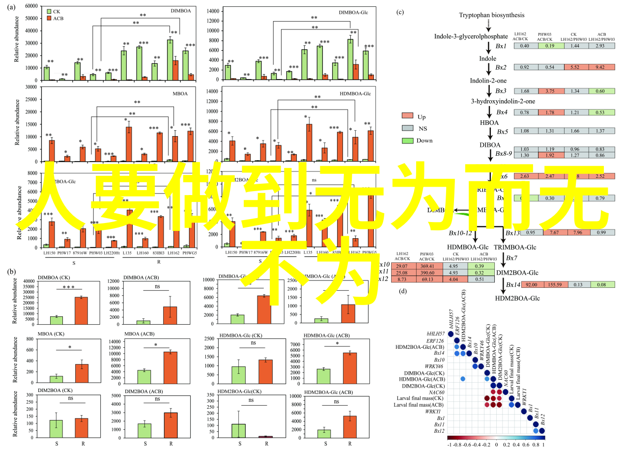 道家修炼的精髓内丹气功太极阴阳五行