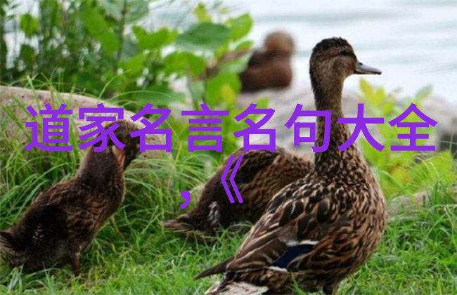 道脉流长弘扬道教文化的重要性与实践