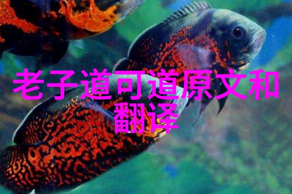 四大菩萨谁最厉害排第一位 - 梵净天之主观世音菩萨的智慧与慈悲