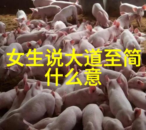 超越极限腿部分离的代价与挑战