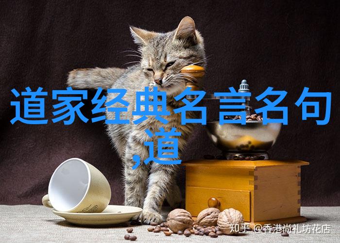 古代儒家经典的核心之作探究四书五经的深意