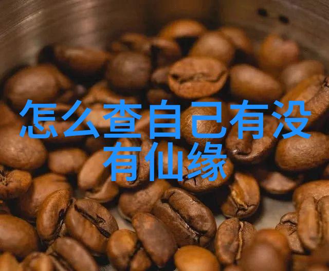 道教派别之谜揭秘古老智慧的分支与流变