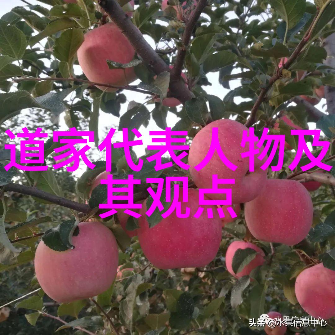 静谧之音破晓神韵