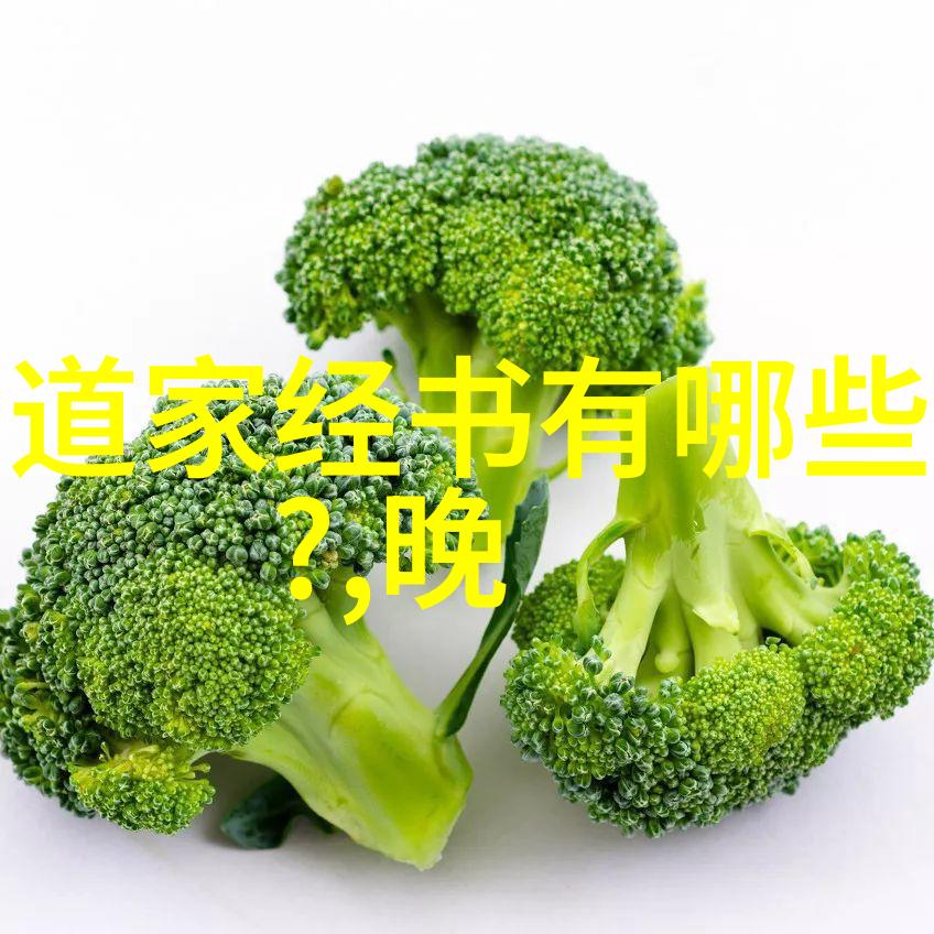 普通人怎么学道术我是谁我在哪儿从零到英雄的修仙之路