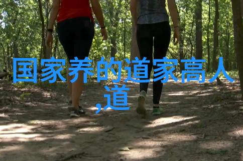 战国策略家韩非子与法家学派的影响