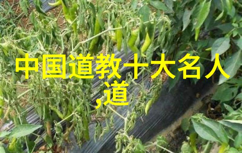 道德经读本指南如何将古籍融入现代生活