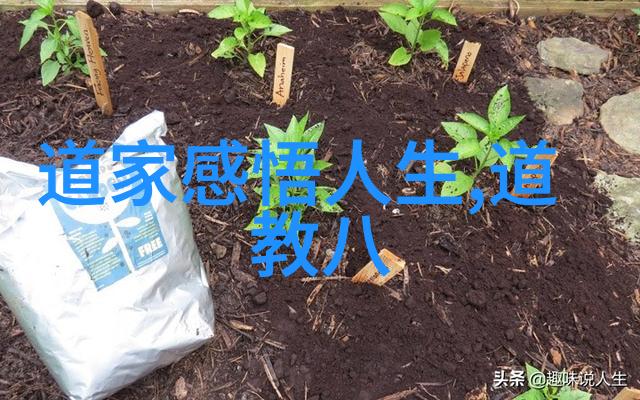 古韵悠扬探秘经典诗名句的深邃意境