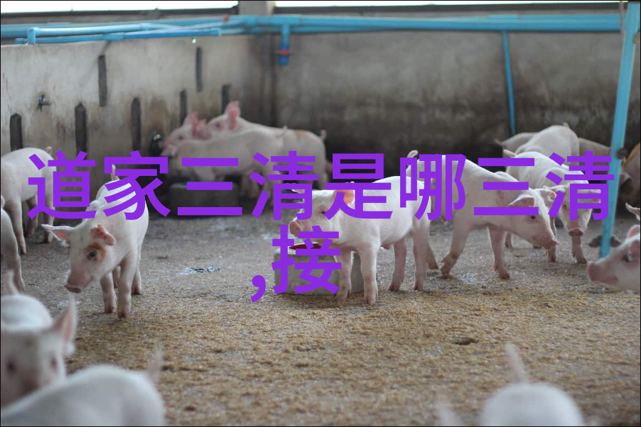 法则与秩序宇宙和谐中的天之道探究