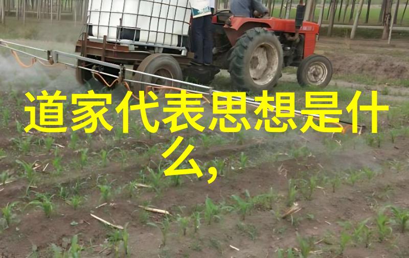 道德经全文解析揭秘老子的智慧与译文深度探究
