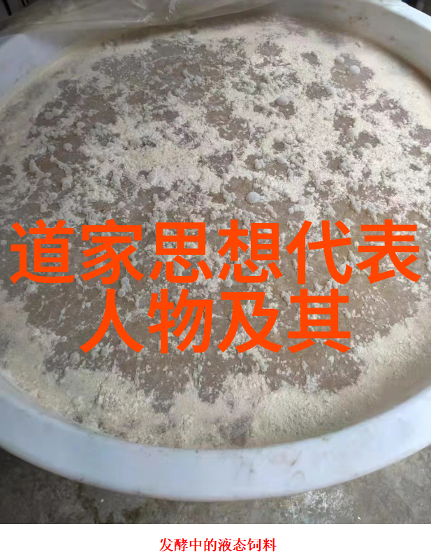道家经典探秘庄子中的幻梦与现实界限