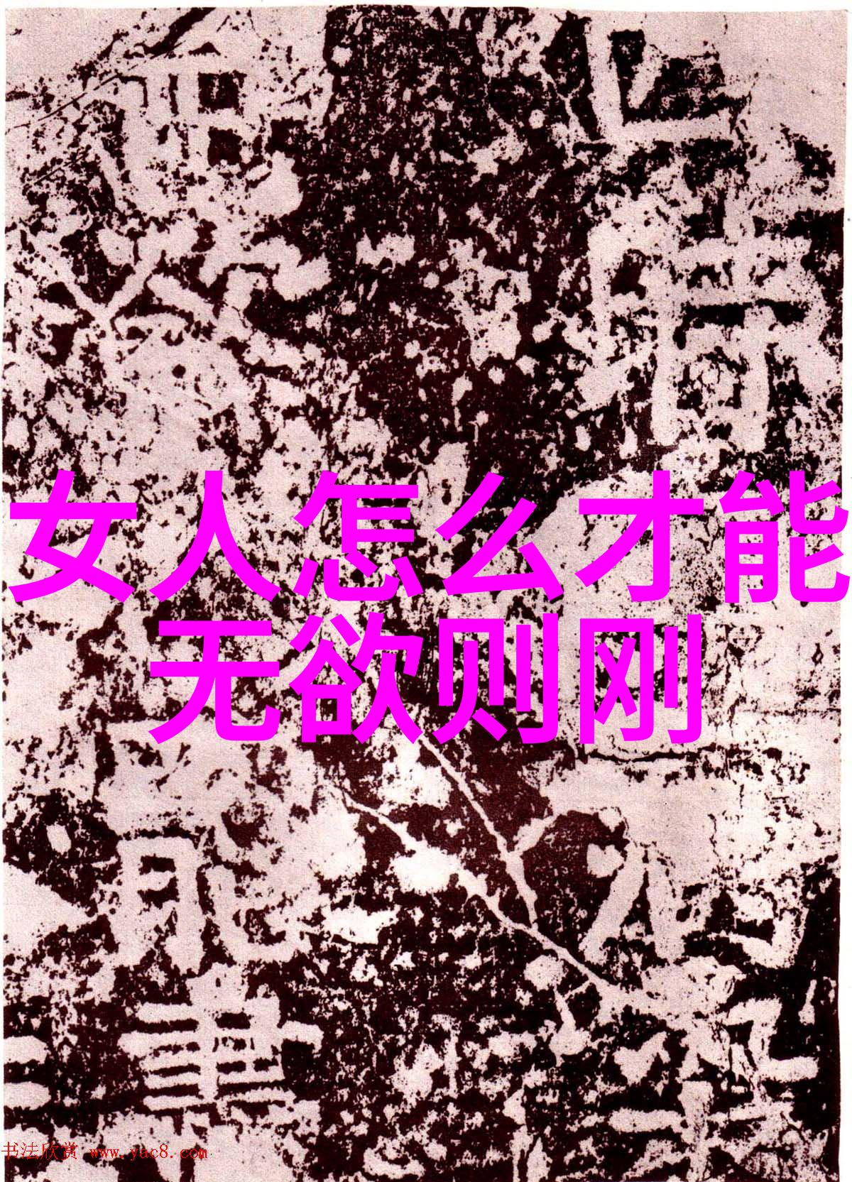 道家哲学在现代社会中的启示与应用