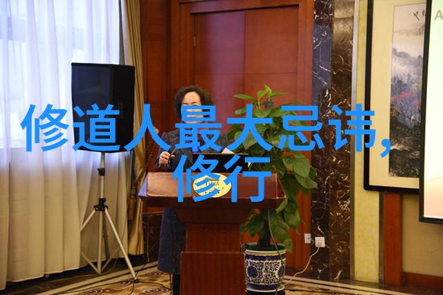 道家经典之选探索传统智慧的代表作品