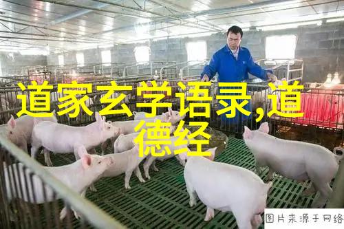 道家的智者揭秘老子与庄子的哲学奥秘