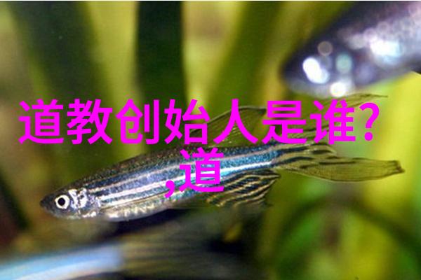 破解千年奥秘一日学会开天眼口诀的艺术与科学