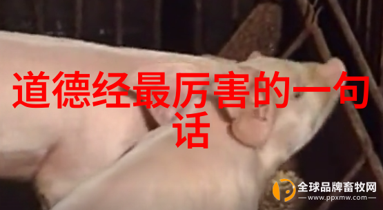礼记聘义