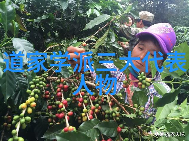 清欢人间味道的探寻