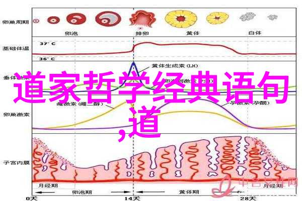 静心之门探索修道入门的智慧