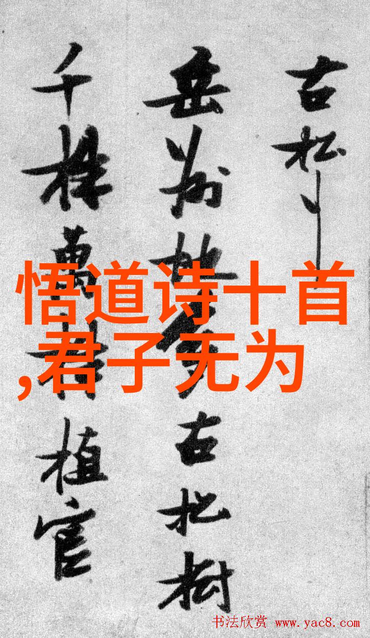 诗歌鉴赏六步法解析古今诗人的艺术之谜