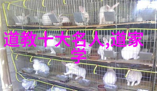 道家的智者探索道家代表人物的哲学足迹