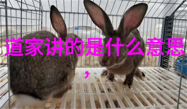 女性心灵之光开悟后身体的神秘变化