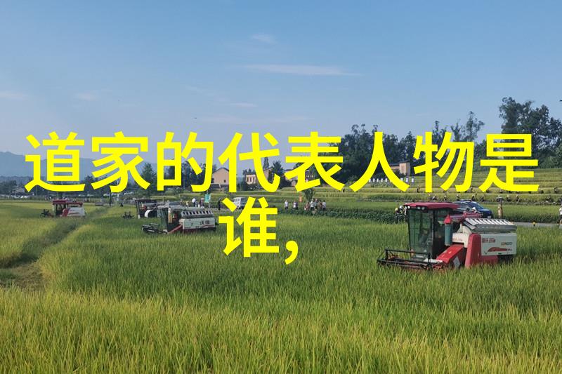 道德经无为而治哲学的智慧与现代社会的应用探究