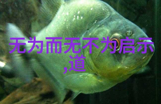 道家修炼的最高境界返璞归真内心纯净身心合一