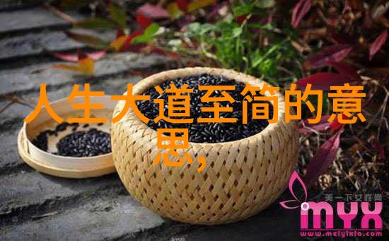 服帖女神揭秘女性如何轻松掌控人际关系