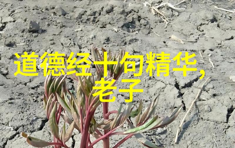 探索修真世界中的异变之眼出道弟子的神秘转变