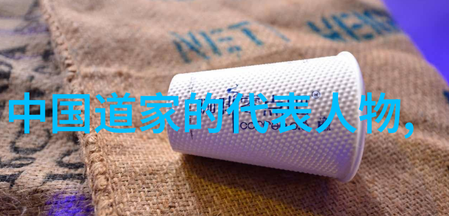 道家智慧的领航者