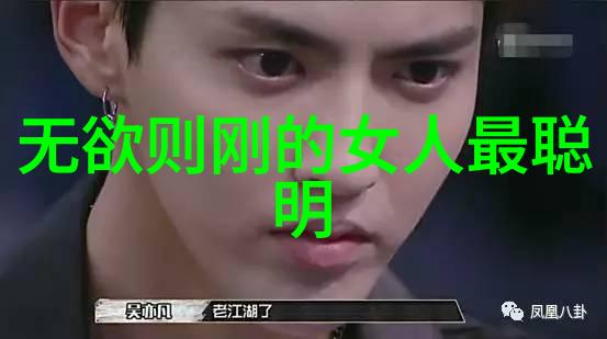 佣兵天下战火与策略的无尽旅途