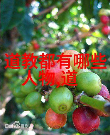 帝王术探究法家理念与道家哲学的对比与融合