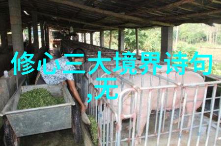 道德经全文解读深度探索古代智慧之源