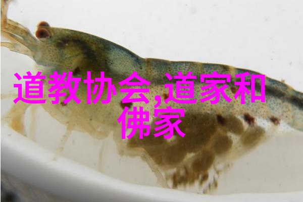 王重阳金末至元初期创建全真派的宗师