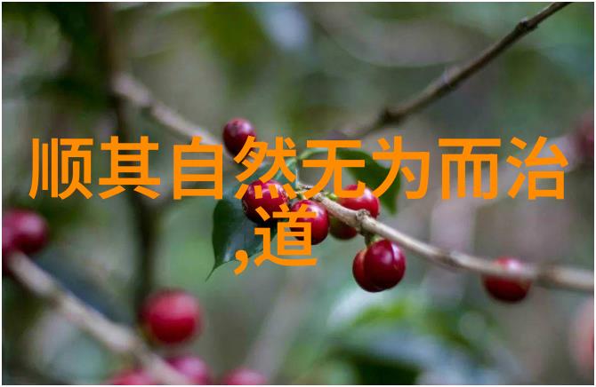 道的奥秘一念之转生万物