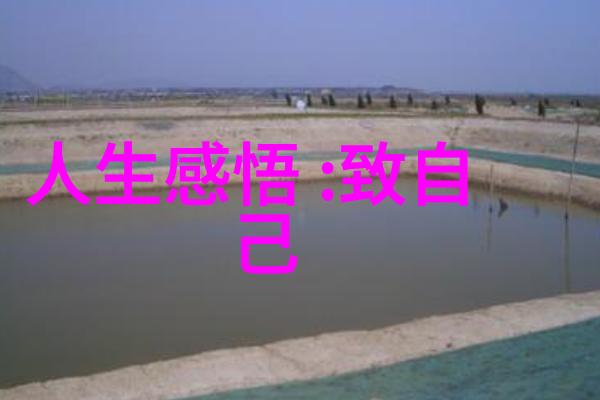 探索道家哲学的深邃之谜宇宙智慧与内心修养的完美融合