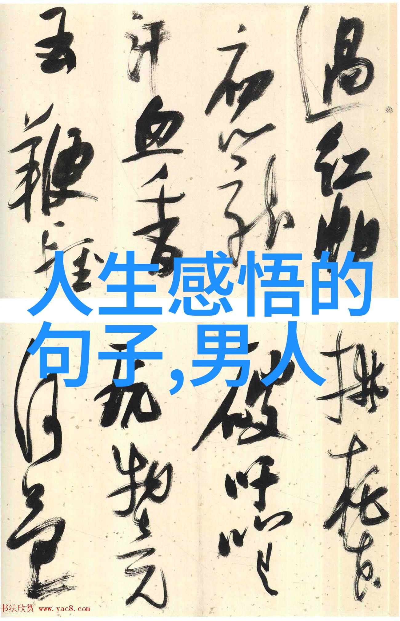 心之隙缝修心诗句的迷雾之谜