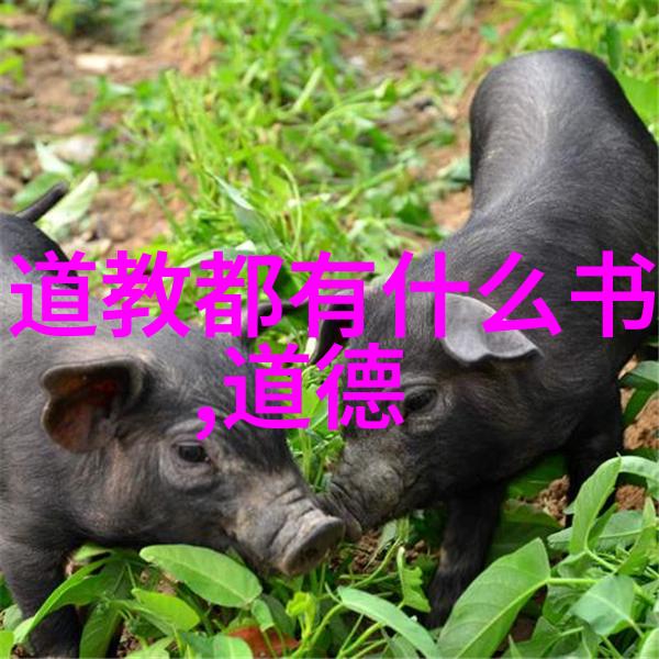 笔下的时光解读五首现代小诗中的历史footprint