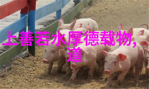 书法鉴赏入门揭秘古今艺术之美