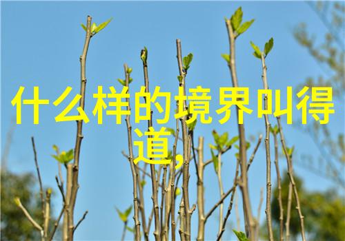 普通人如何修炼内功从基层到高峰的探索之旅