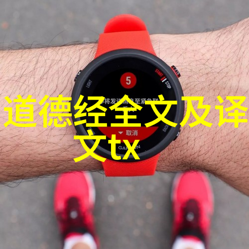 从楷体到草体揭秘不同书写形式背后的故事