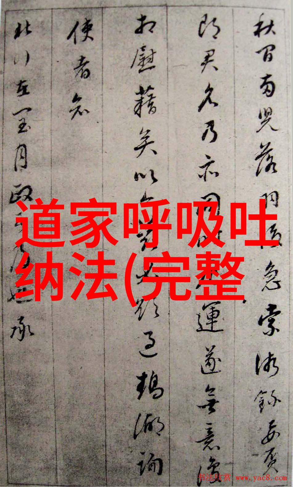 道家人物探索隐逸智慧的生活与哲学