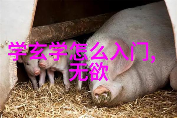 简朴生活的智慧探索抱朴守拙精神的魅力