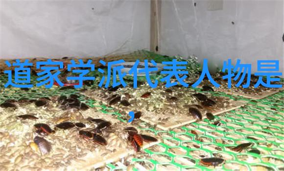 文字与意境浅谈中国书法作品中的人文关怀