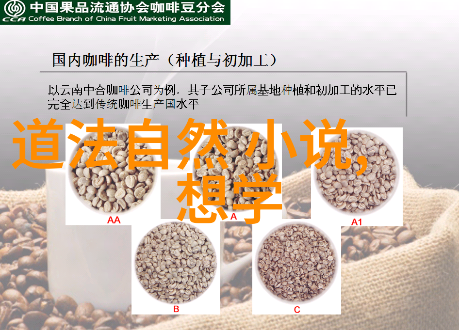 道家智者探索道教圣贤的哲学与生活
