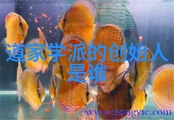 探索人生的三大境界从觉醒到超脱