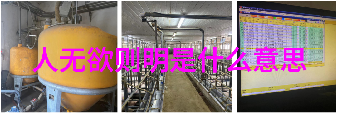 哺乳期的挑战与成长4G玉蒲团奶水喷出之谜