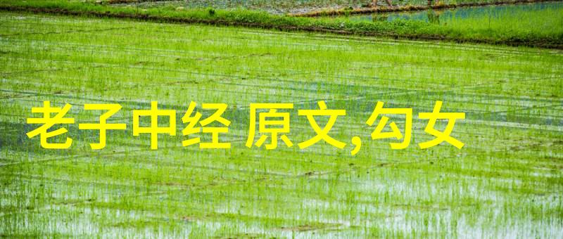 高中优美古诗词鉴赏20首经典诗词欣赏